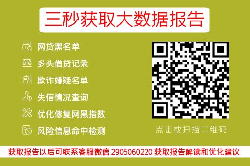 征信花了能做什么大额贷款？试试这几款看看是什么原因_蓝冰数据_第3张