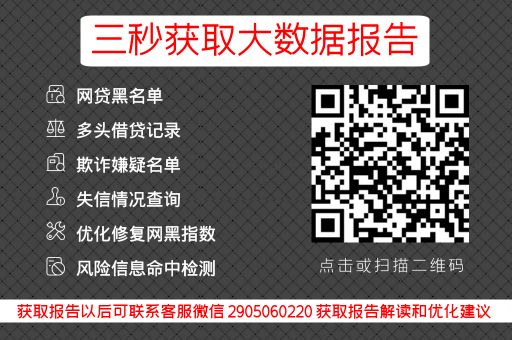 四喜数据-个人网贷记录查询入口_蓝冰数据_第3张