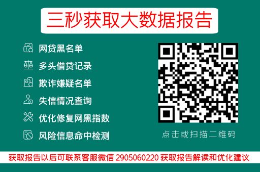 小七信查-个人网贷记录查询中心_蓝冰数据_第3张